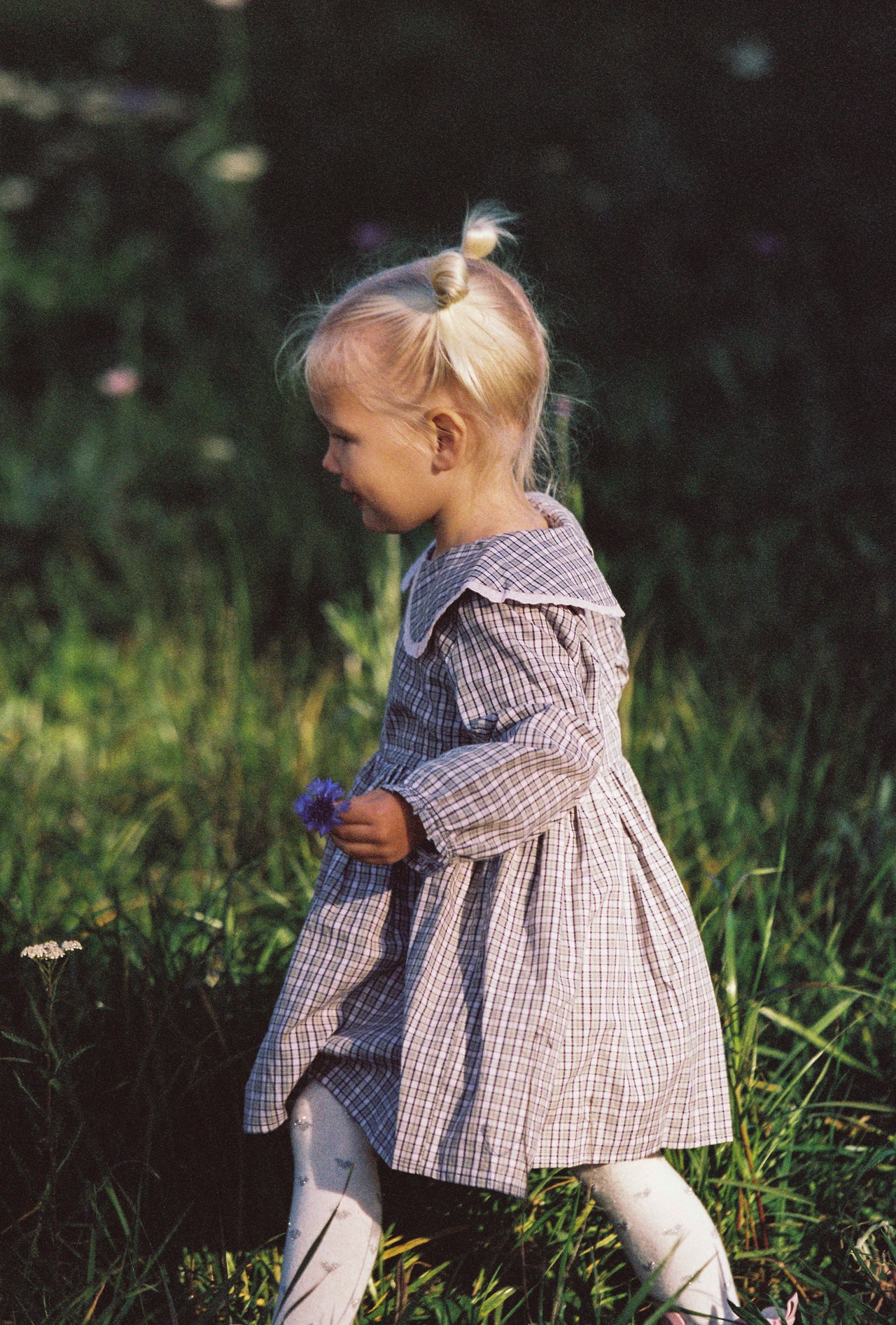 Celine Dress - Check