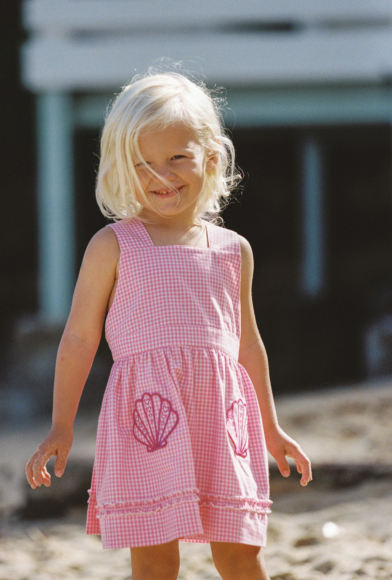 Coco Dress - Strawberry Gingham