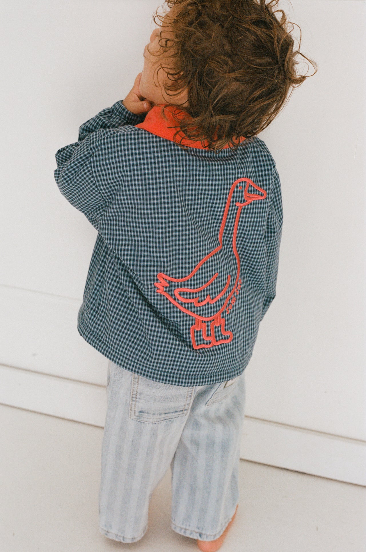 Sammy Padded Bomber - Blue Check