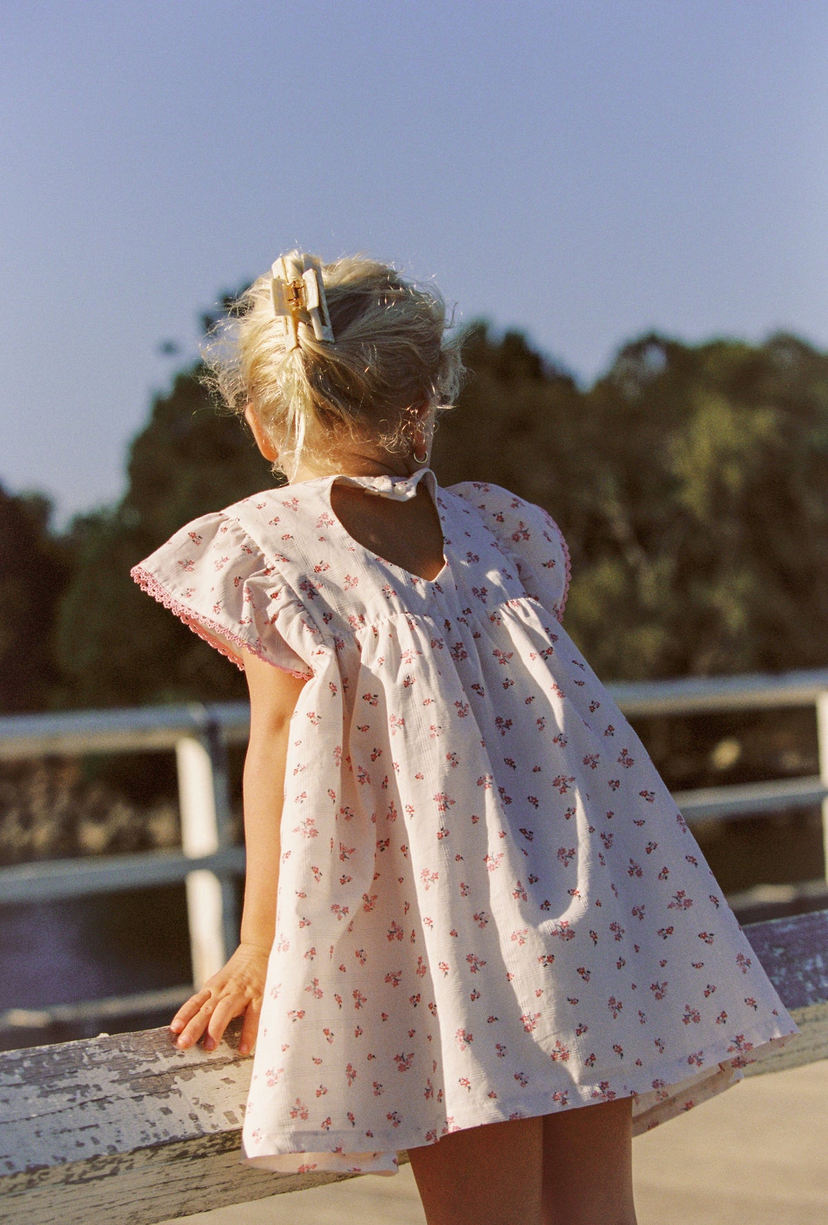 Daisy Dress - Blossom