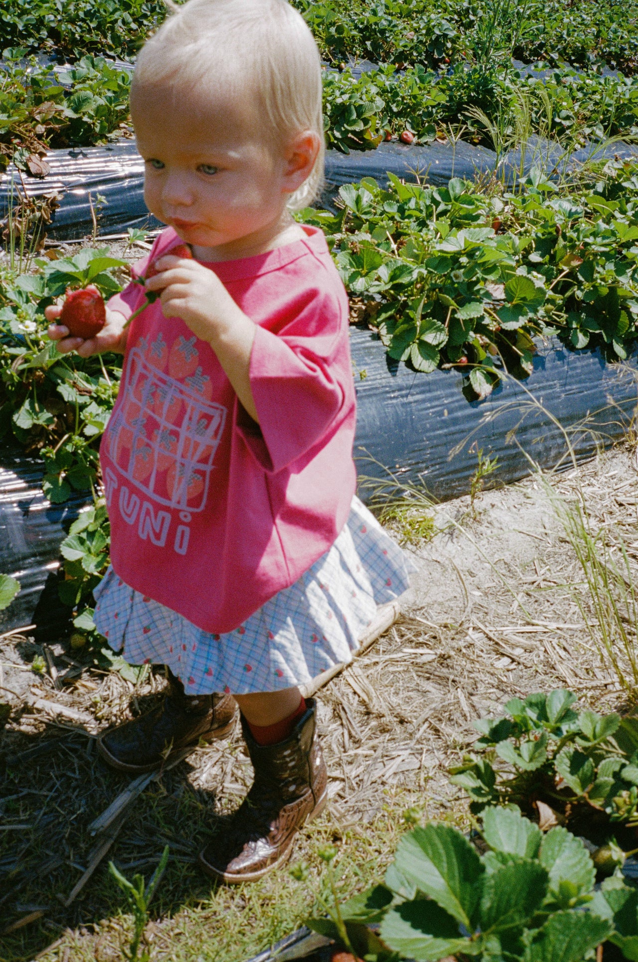 Poet Bubble Skirt - Strawberry Check