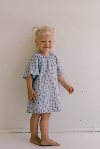 Penny Dress - Strawberry Check