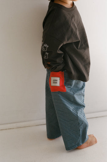 Benji Pant - Blue Check