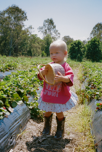 Punnet Tee - Berry