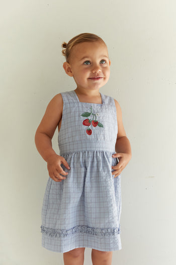 Coco Dress - Sky Gingham