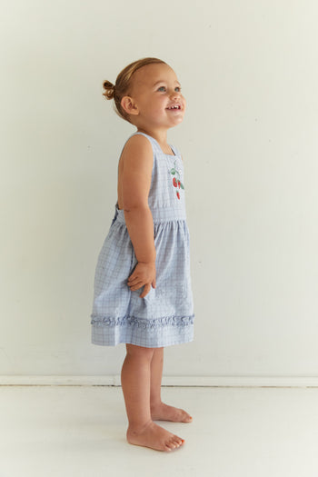 Coco Dress - Sky Gingham